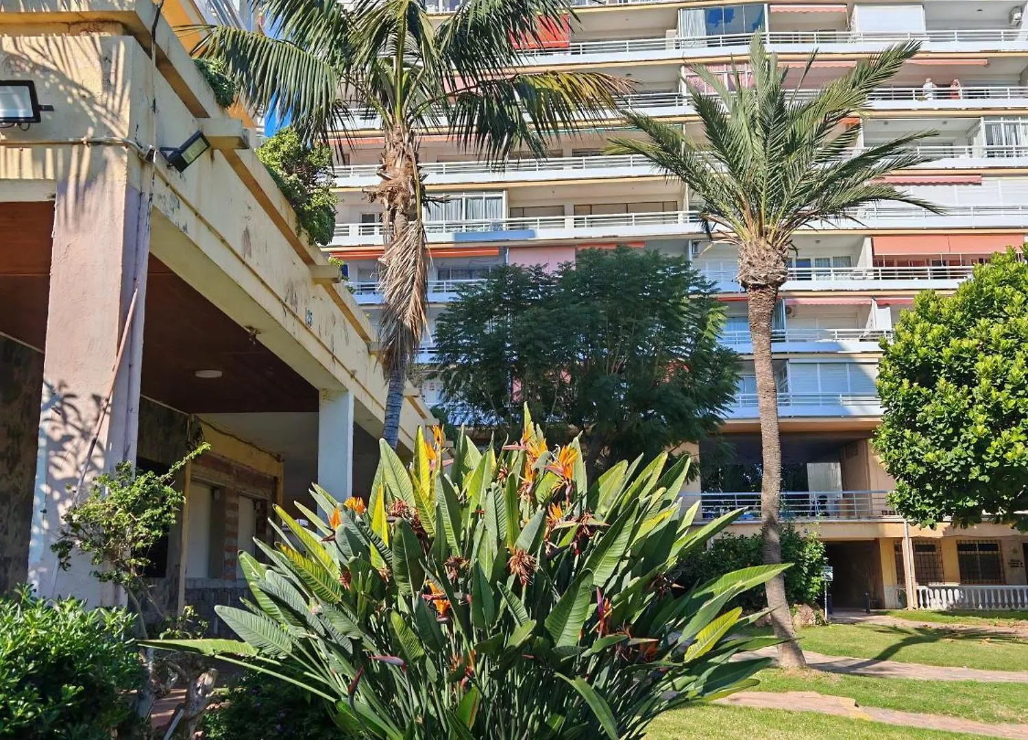 Casa Adela At Green Parrot Apartments At Carihuela Torremolinos Spain