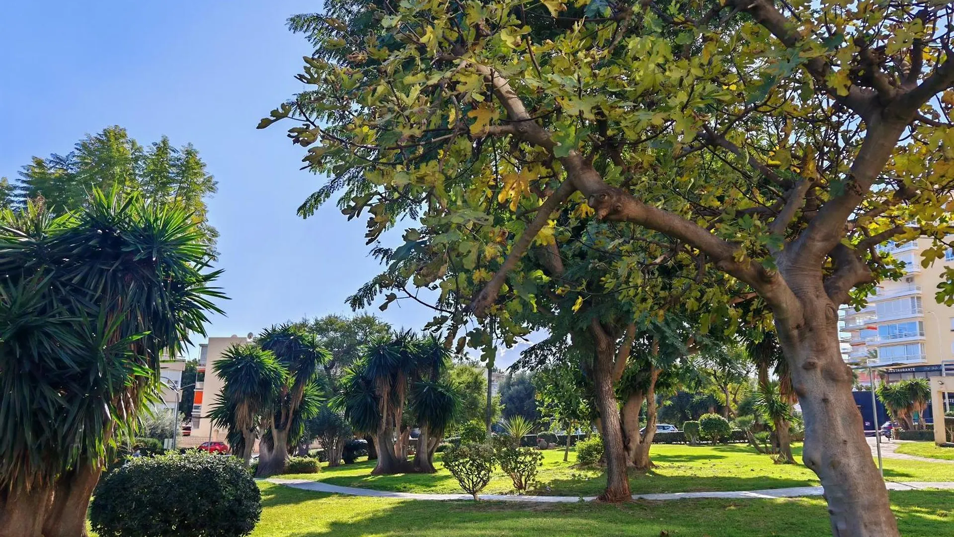 Casa Adela At Green Parrot Apartments At Carihuela Torremolinos